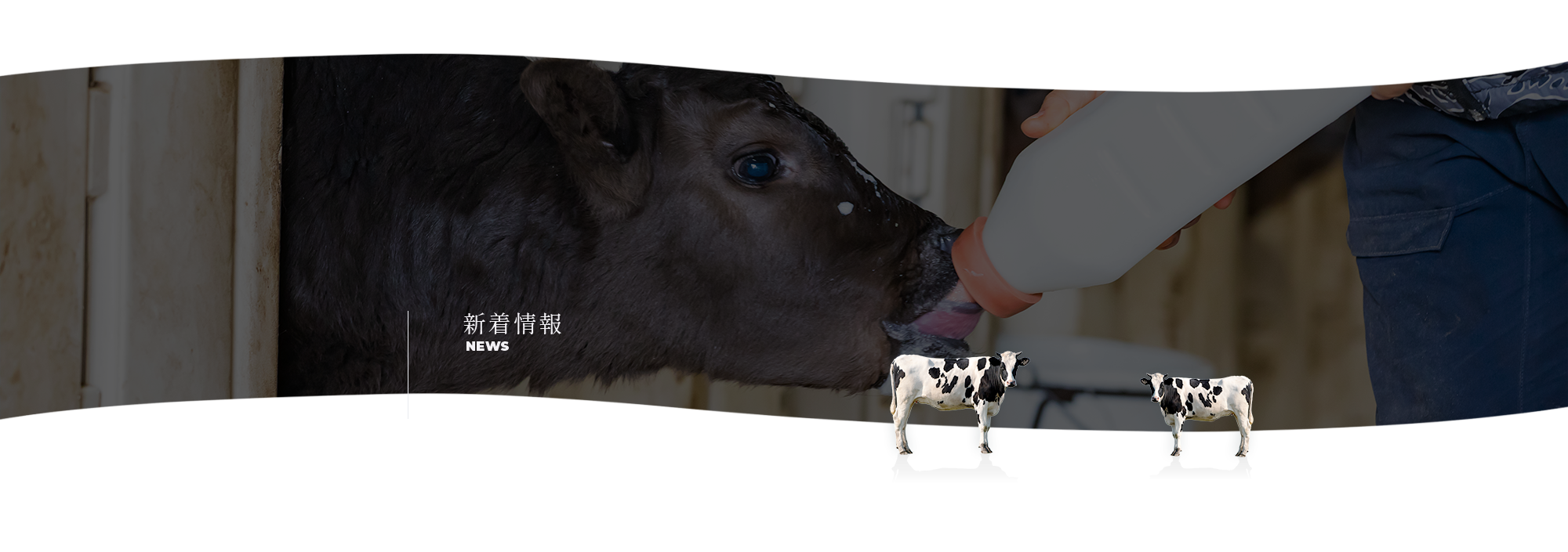 新着情報