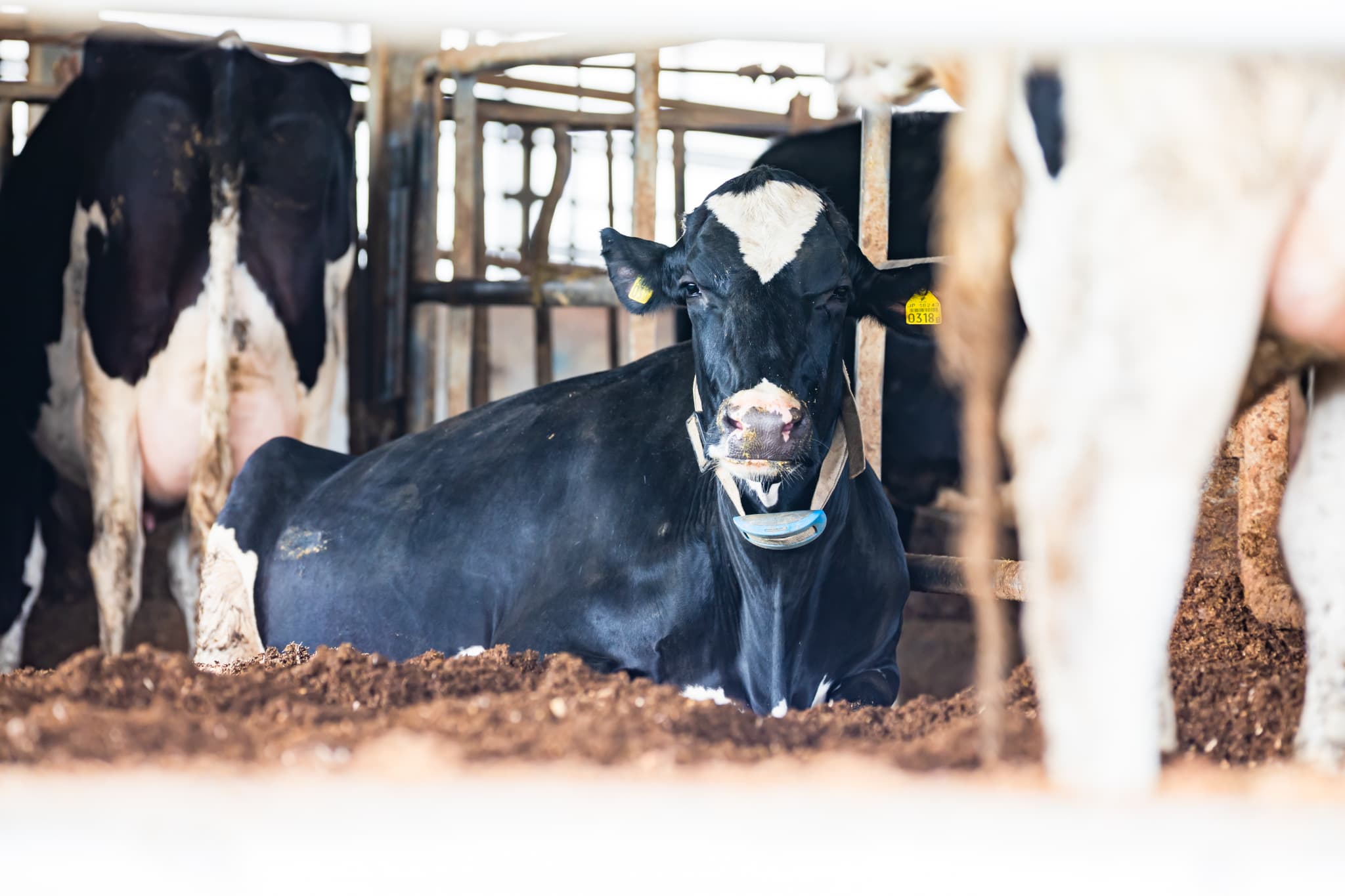 71