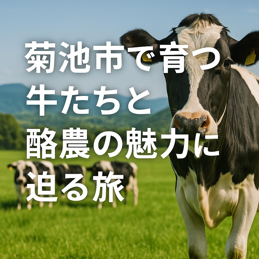 菊池市で育つ牛たちと酪農の魅力に迫る旅